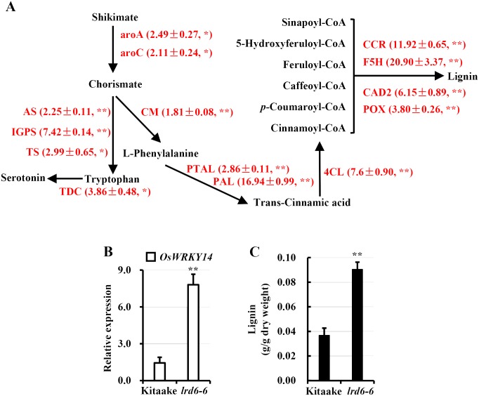 Fig 9