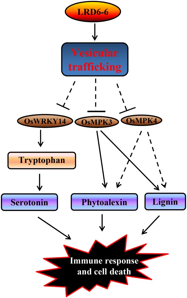 Fig 12