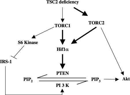 FIGURE 10.