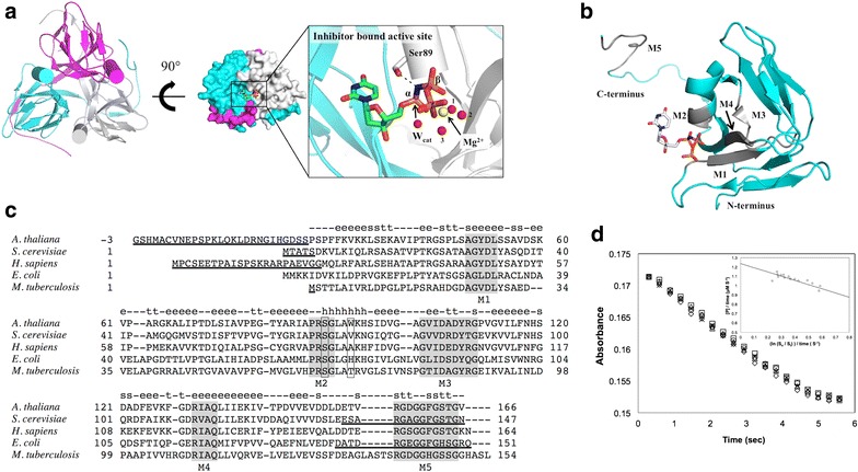 Fig. 1