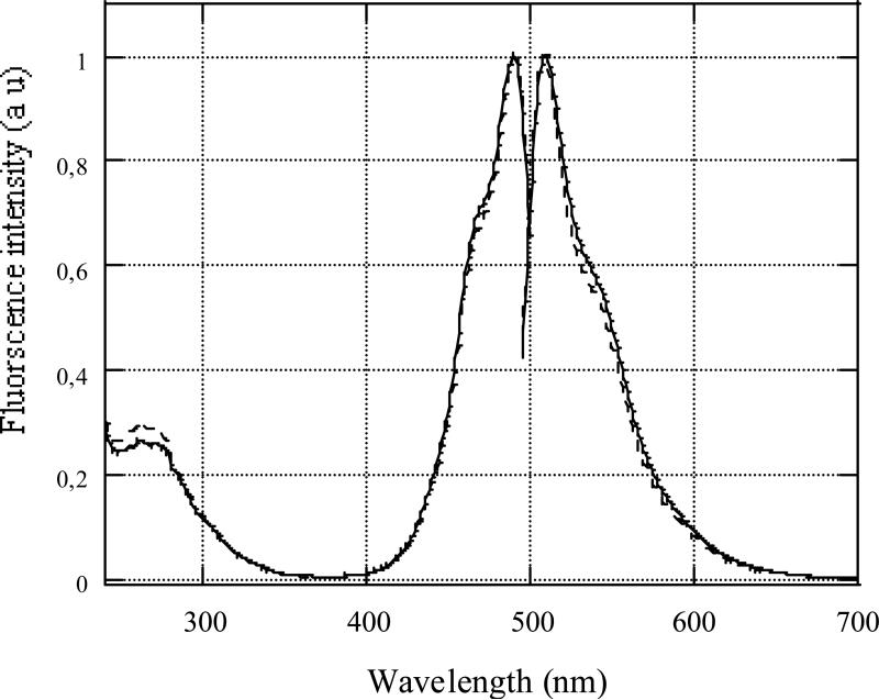 FIGURE 4