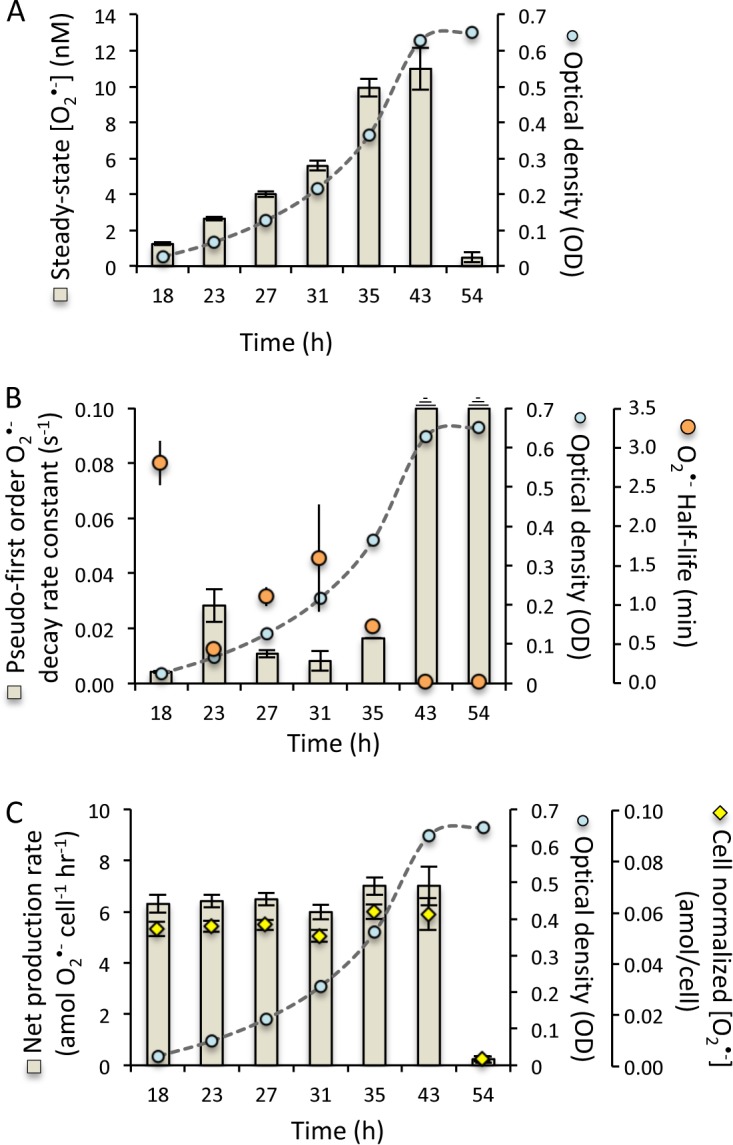 FIG 6