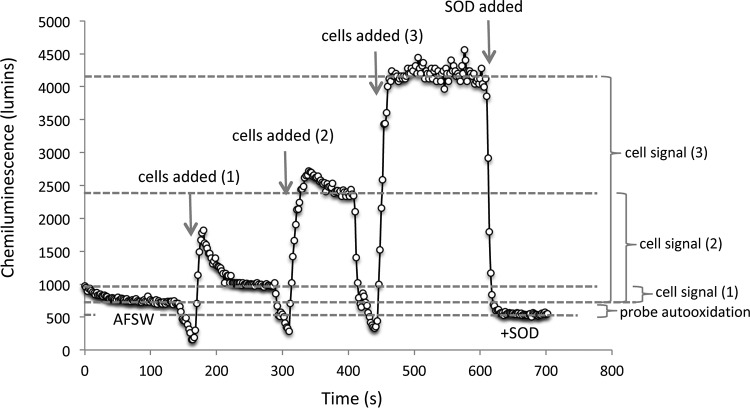 FIG 2