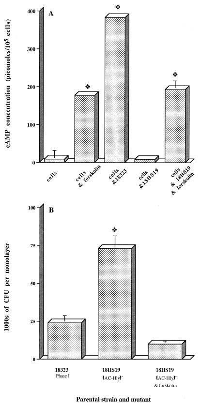 FIG. 5