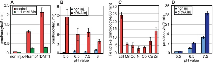 Fig. 6.