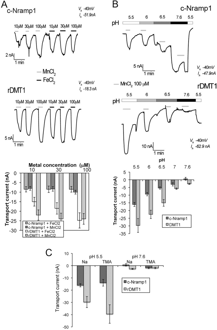 Fig. 4.