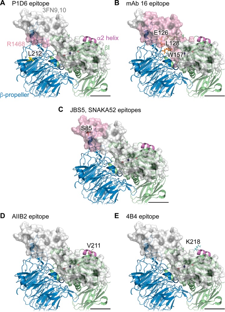 FIGURE 10.