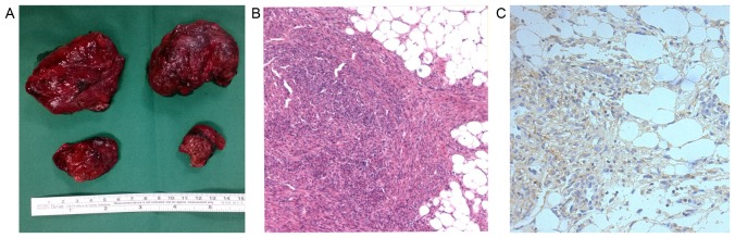 Figure 2.