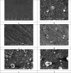Fig. 13