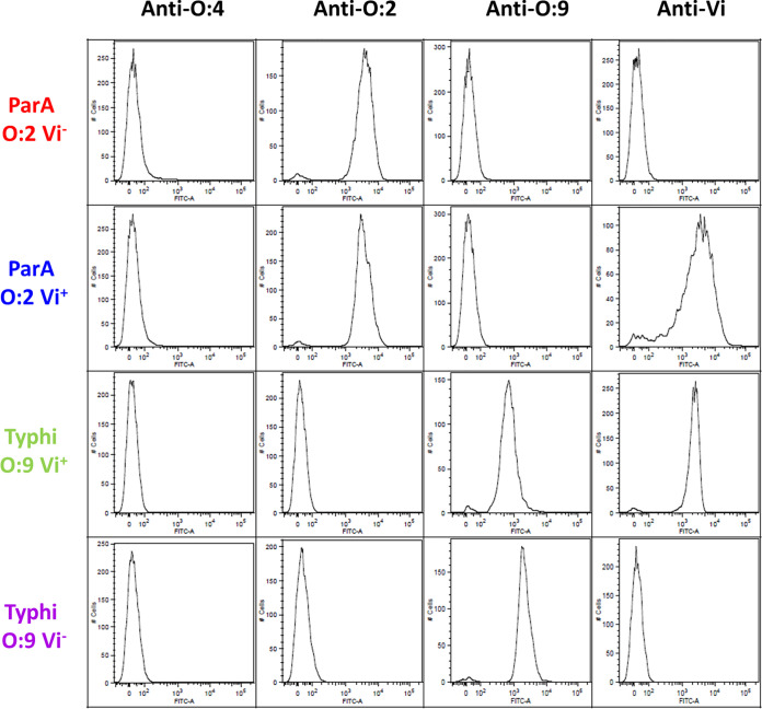 FIG 1