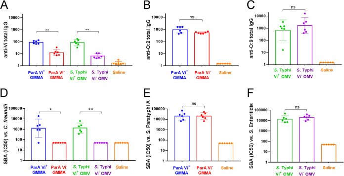 FIG 2