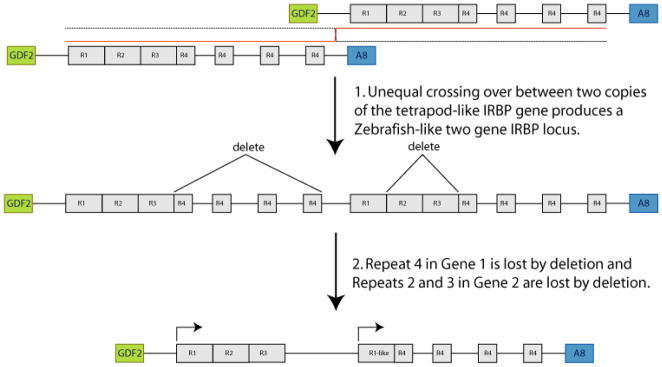 Figure 11