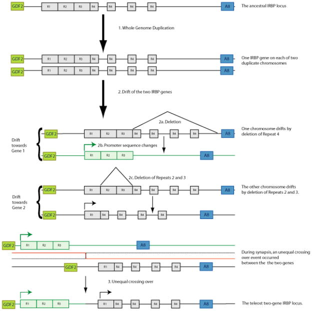 Figure 10