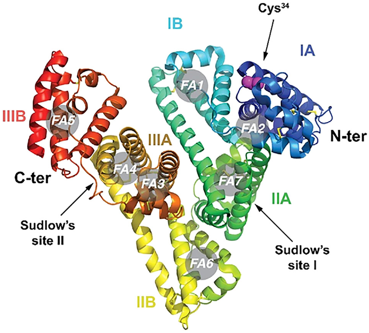 FIGURE 1