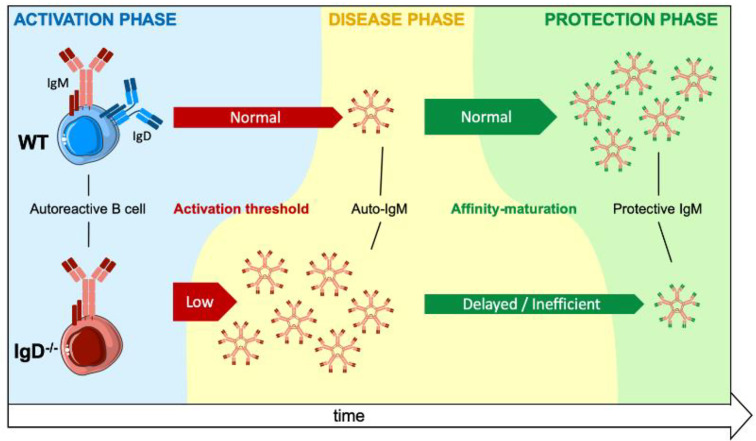 Graphical Abstract