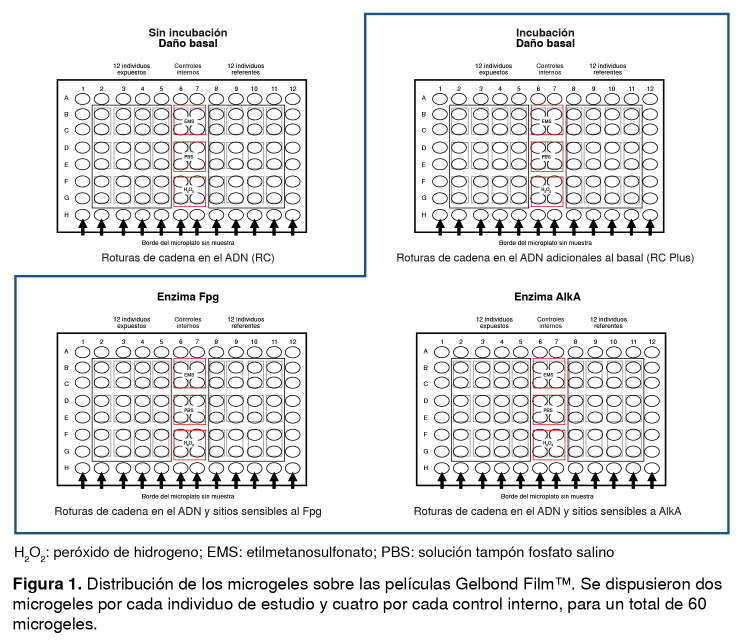 Figura 1