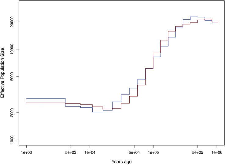 Figure 6