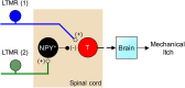 Fig. 4