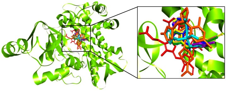 Figure 2