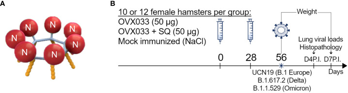 Figure 1