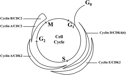 Fig. (2)