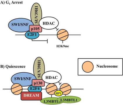 Fig. (5)