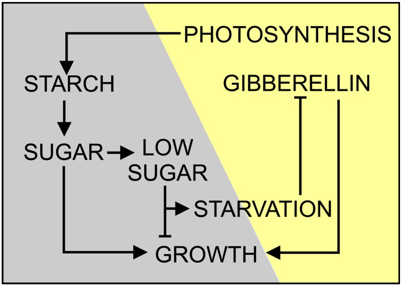 Figure 7.