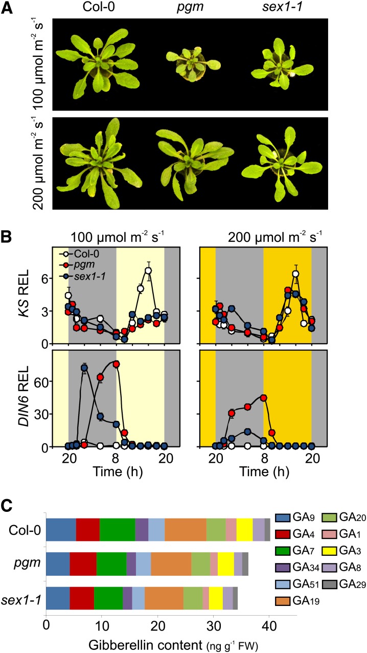 Figure 5.