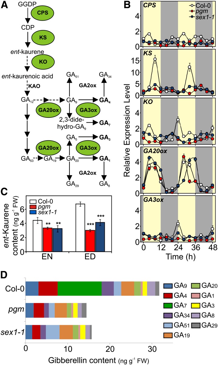 Figure 2.