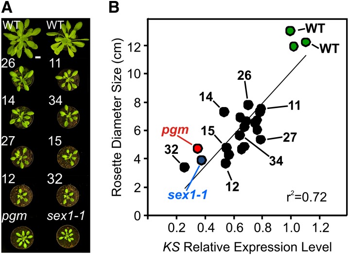 Figure 3.