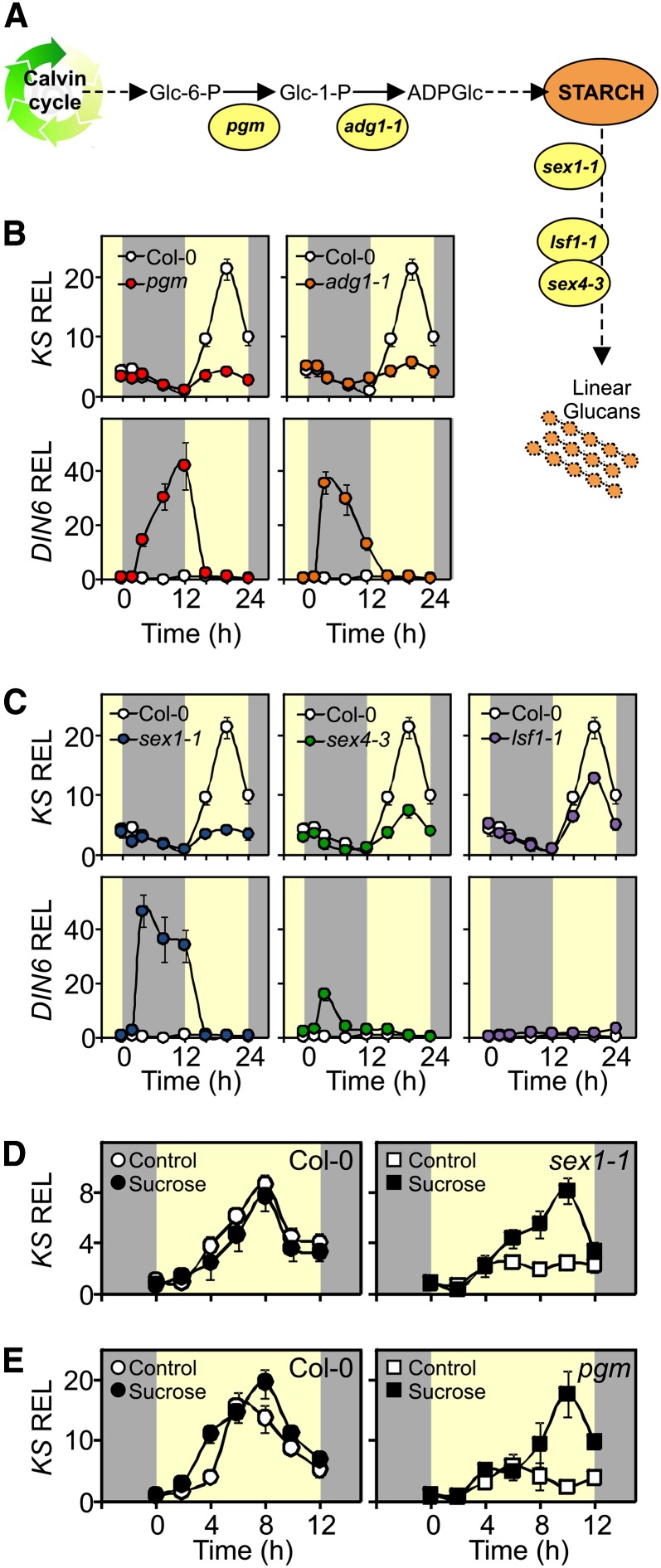 Figure 4.