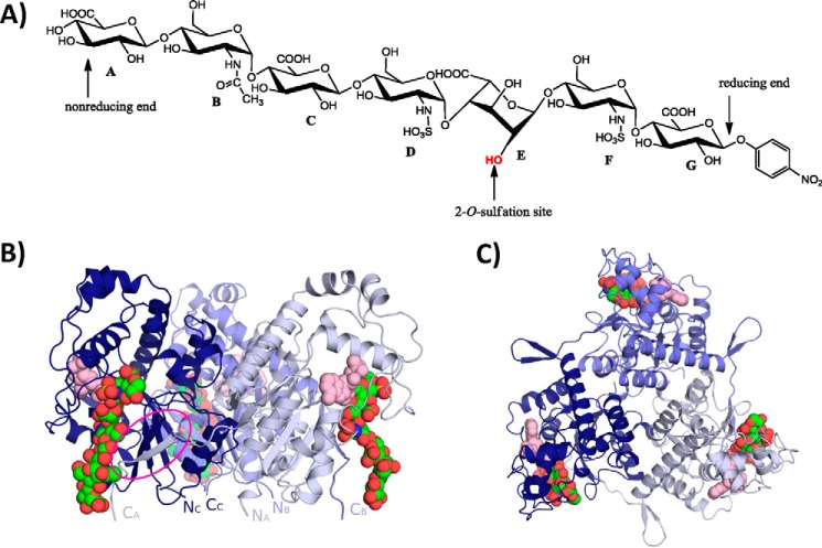 FIGURE 1.