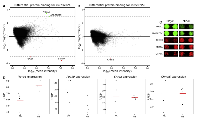 Figure 5