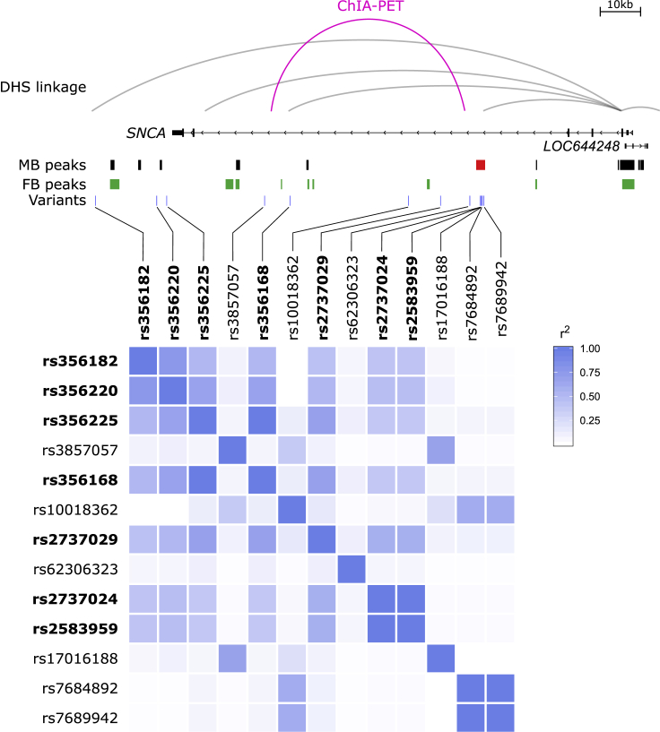 Figure 6