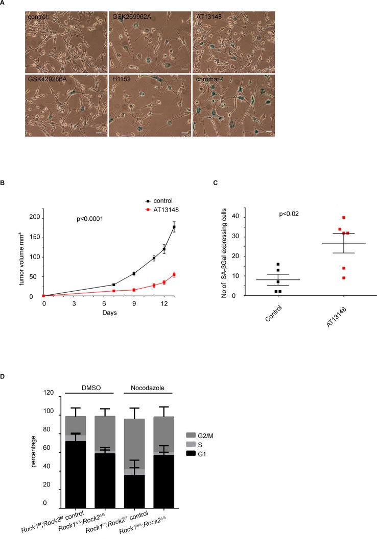 Figure 3—figure supplement 1.