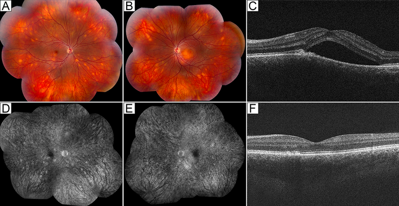 Figure 3: