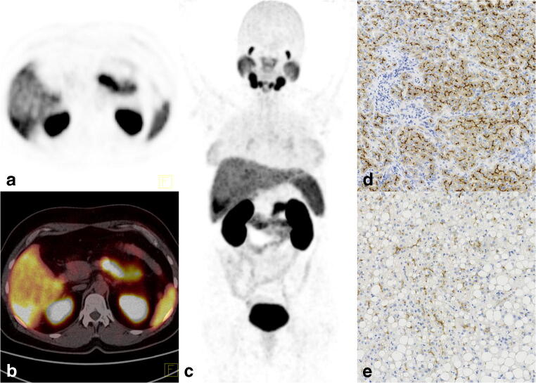 Fig. 4