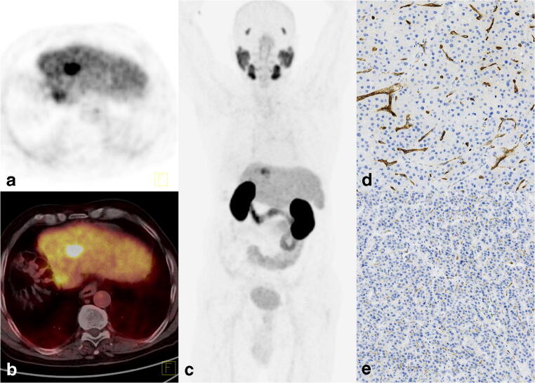 Fig. 3