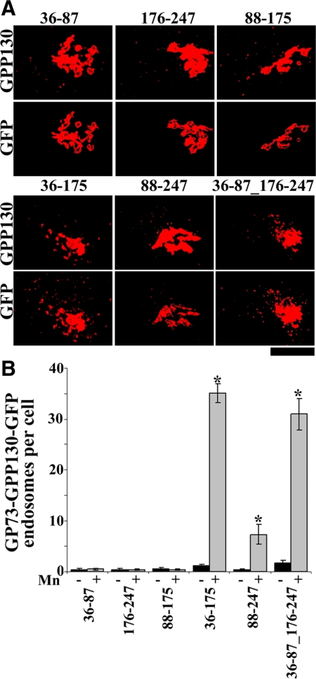 Figure 10.