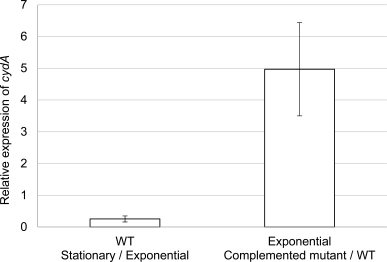 Fig 2