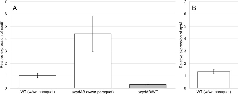 Fig 4