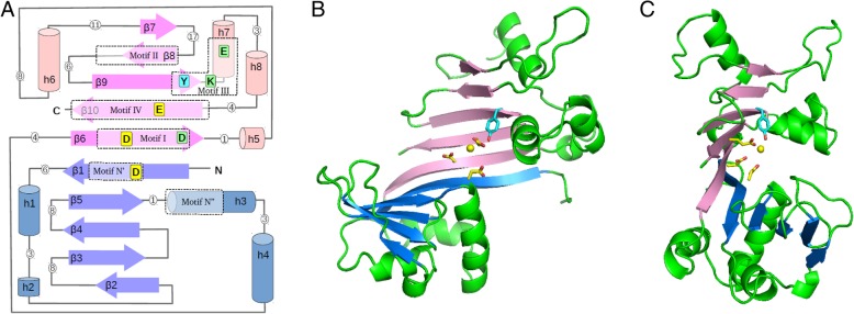 Fig. 4