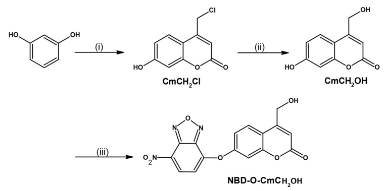 Scheme 2