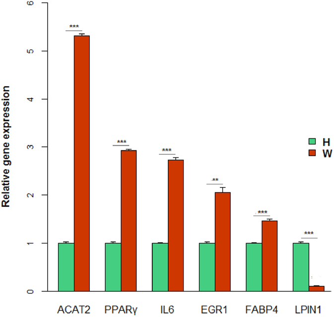 Figure 5