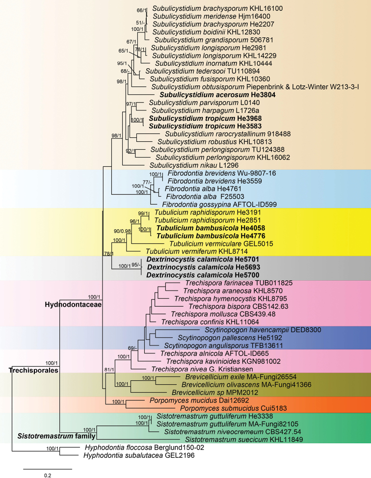 Figure 2.