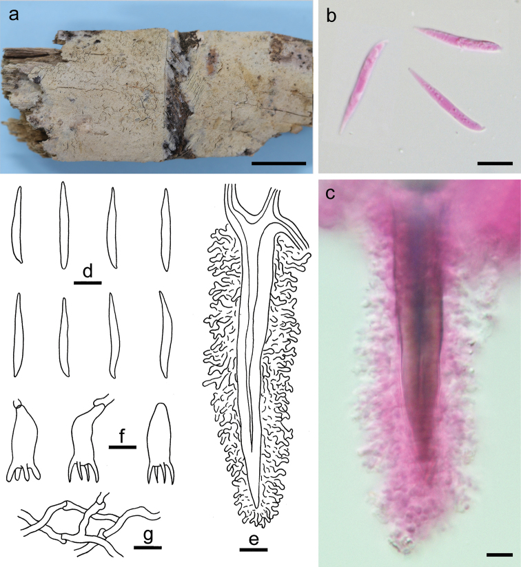 Figure 6.