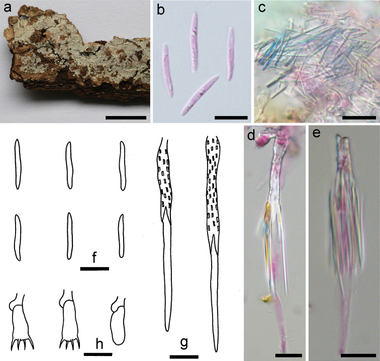 Figure 4.