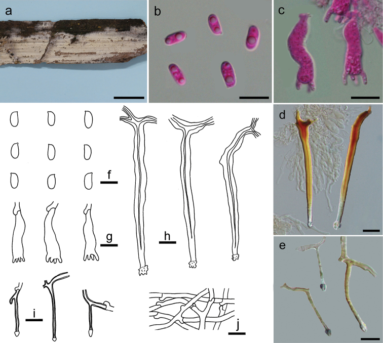 Figure 3.