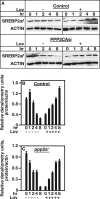 FIGURE 9.
