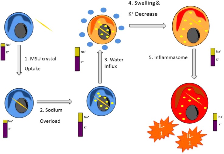 Figure 2